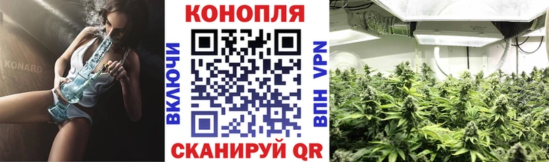 Каннабис марихуана Нелидово